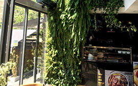 Zigzag Restaurant Green Wall