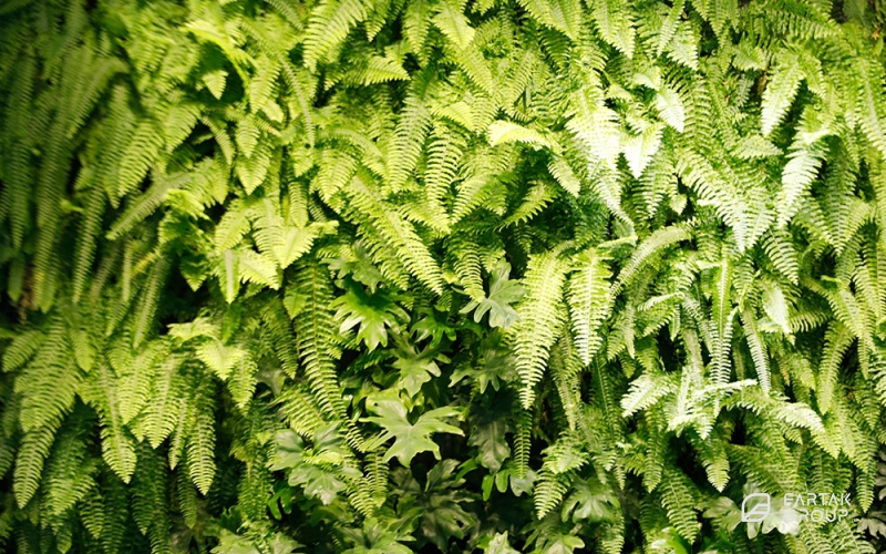 Axon Project Green Wall