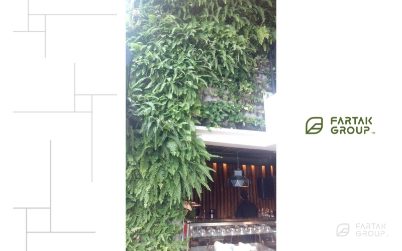 Zigzag Restaurant Green Wall