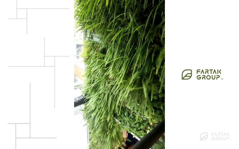 Zigzag Restaurant Green Wall