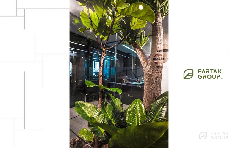 Novin Electrod Ardakan Terrarium