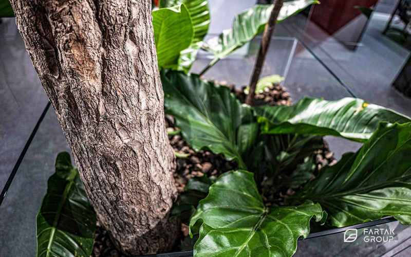 Novin Electrod Ardakan Terrarium