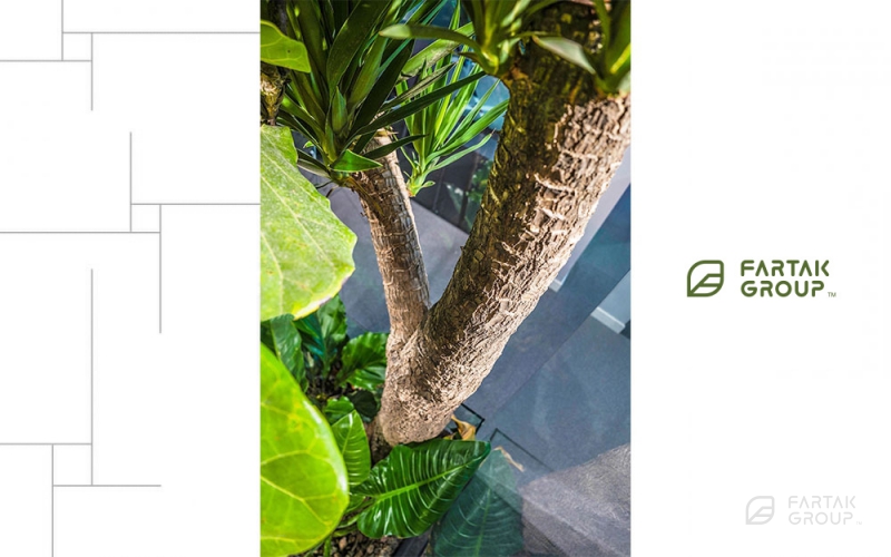 Novin Electrod Ardakan Terrarium