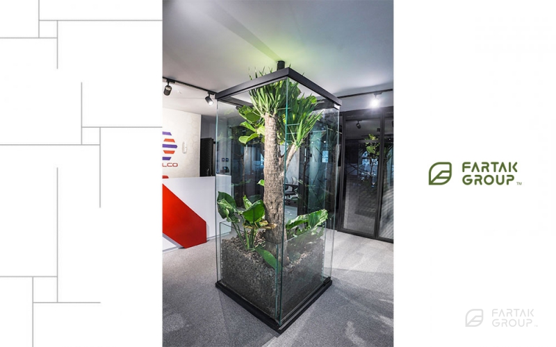 Novin Electrod Ardakan Terrarium