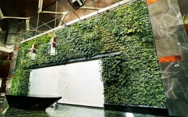 طراحی و اجرای روف گاردن و دیوار سبز مشاعات پروژه باران 3