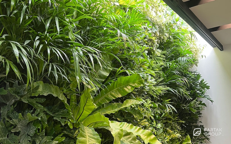 Pishtazan Asre Dadeha Office Green Wall