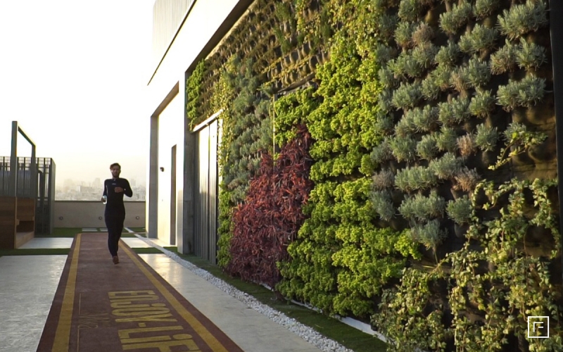 طراحی و اجرای دیوار سبز پروژه مسکونی میکا پانامرا