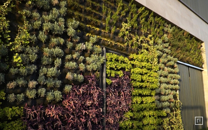 Mika Panamera Residential Complex Green Wall