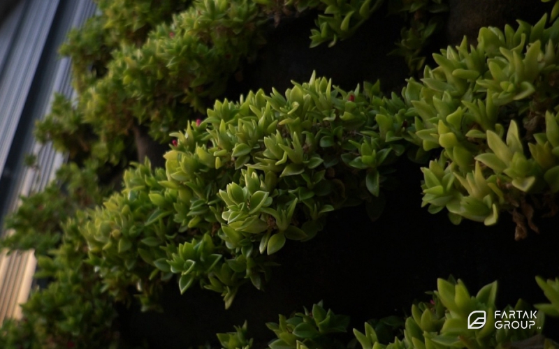 Mika Panamera Residential Complex Green Wall