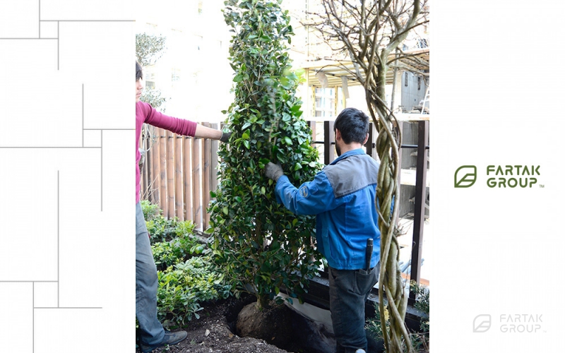 Baran 3 Project Terrace Garden