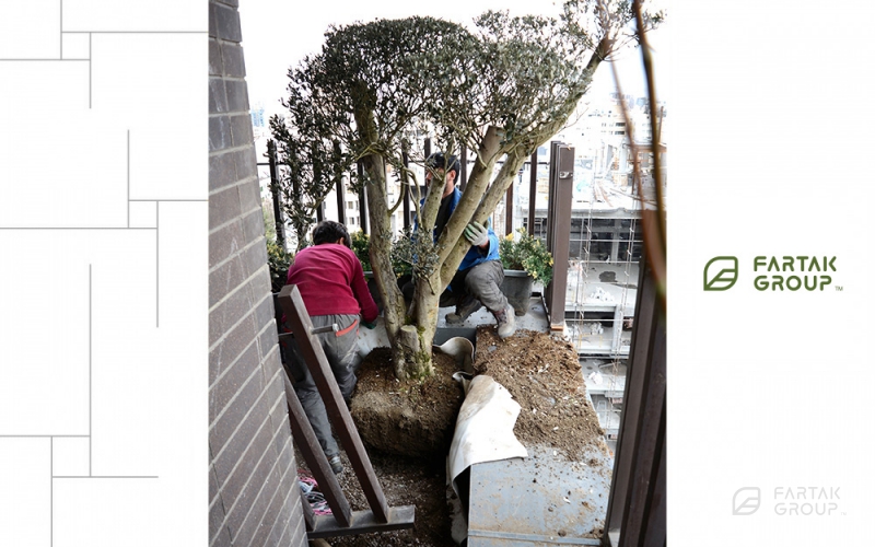 Baran 3 Project Terrace Garden