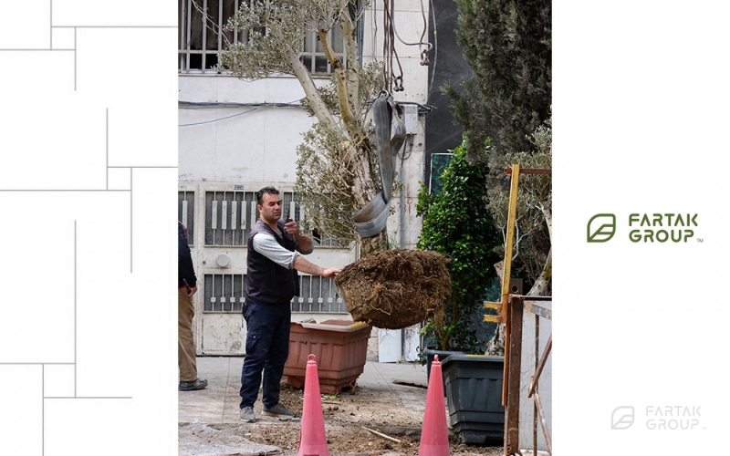 Baran 3 Project Terrace Garden