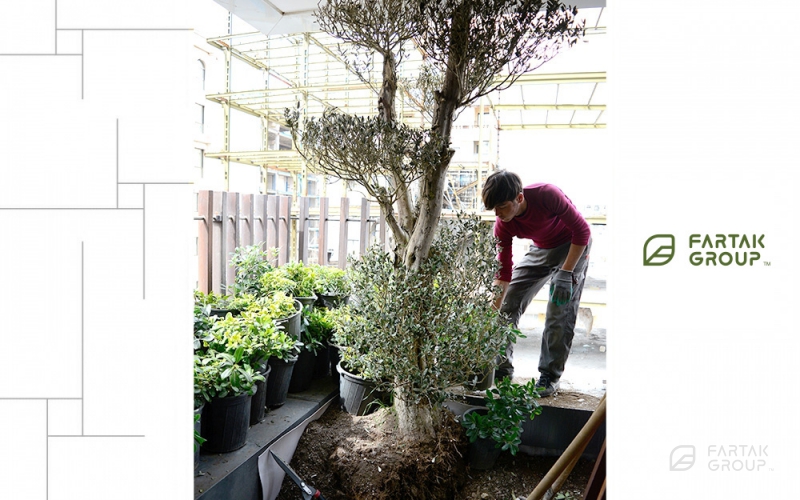 Baran 3 Project Terrace Garden