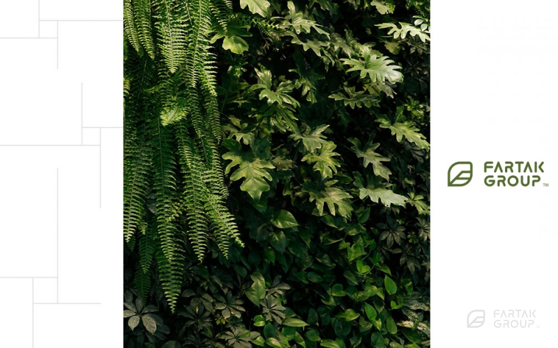 طراحی و اجرای دیوار سبز لابی پروژه اکسون