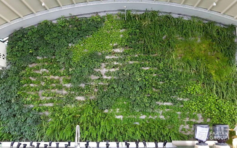 Ala Restaurant Green Wall