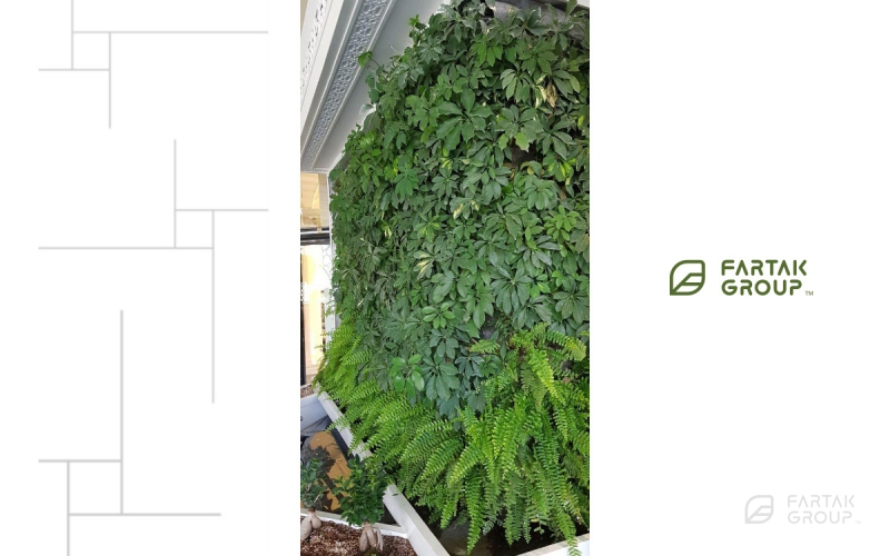 Ala Restaurant Green Wall