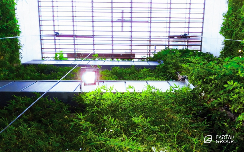 Green wall with height of 20 meters