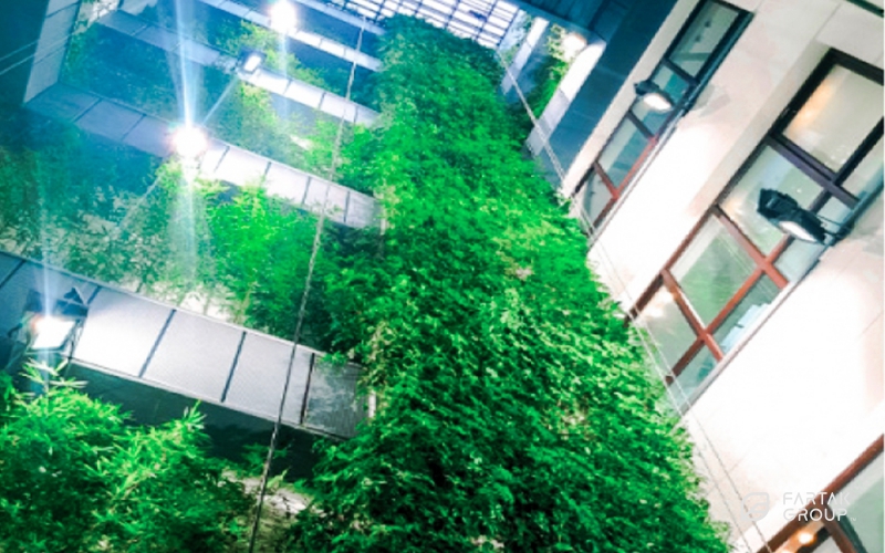 Green wall with height of 20 meters