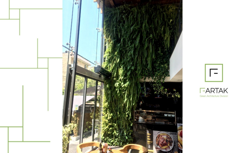 طراحی و اجرای دیوار سبز رستوران زیگ‌زاگ