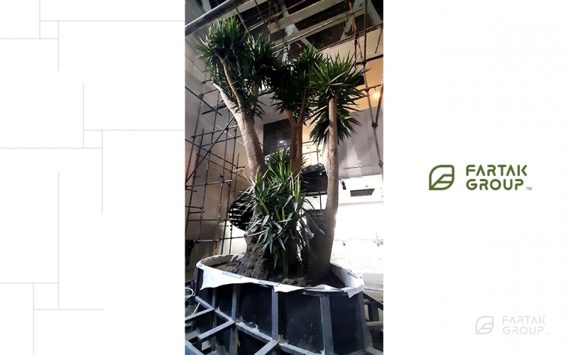 Lobby Garden - Baran 3