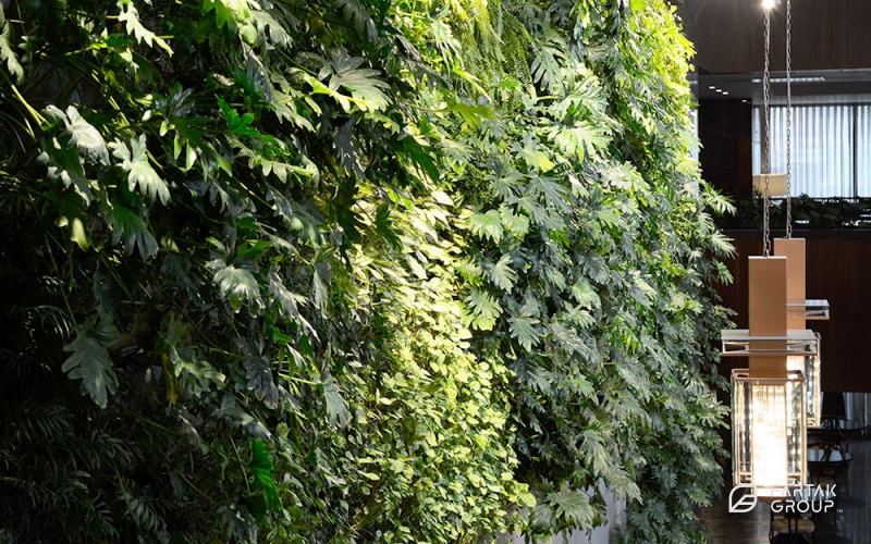 Lobby Garden - Baran 3