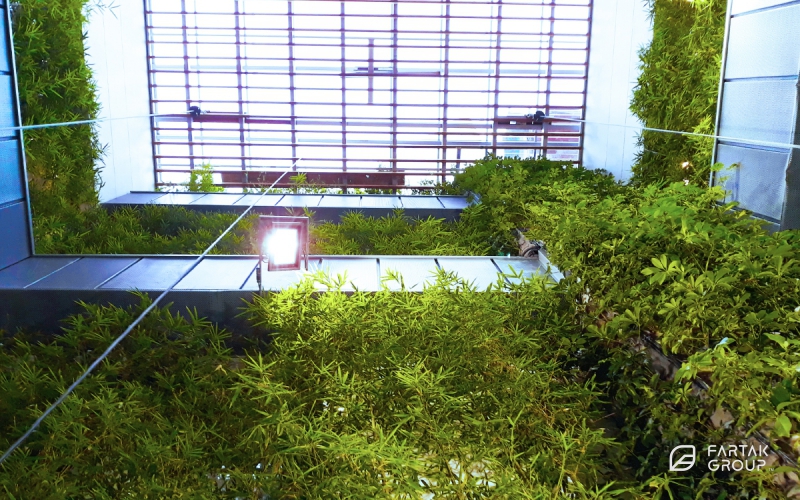 طراحی و اجرای دیوار سبز پروژه شرکت آپ