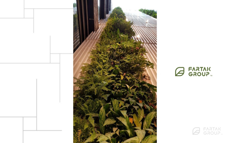 SMP Company Green Wall