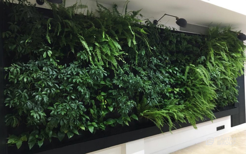 Tasvieh Gostar Office Green Wall