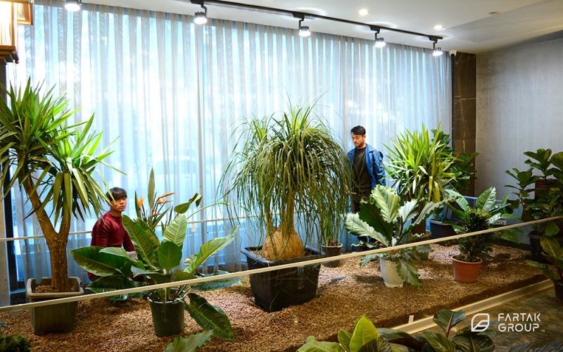 Baran 3 Project Terrarium