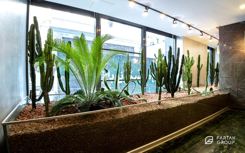 Baran 3 Project Terrarium