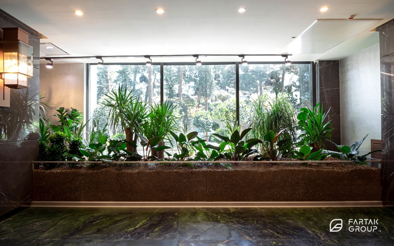 Baran 3 Project Terrarium