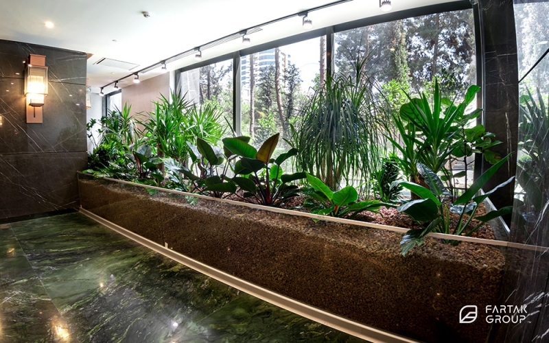 Baran 3 Project Terrarium