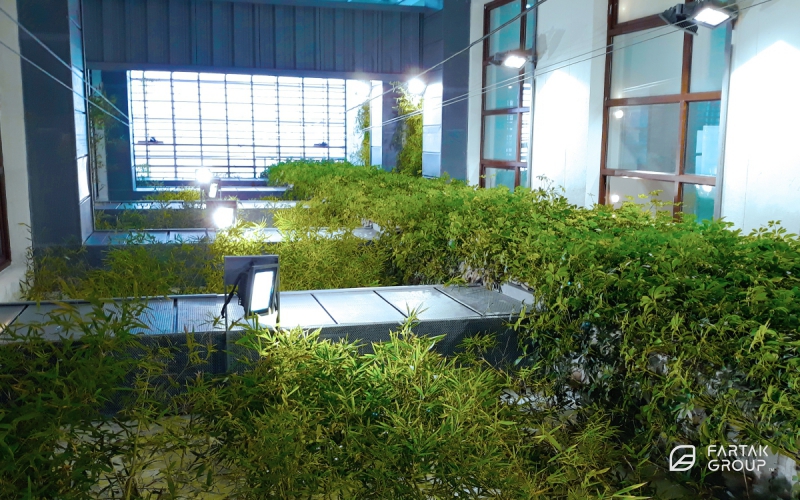 Asan Pardakht Office Green Wall