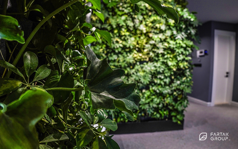 Novin Electrod Ardakan Green Wall and Terrarium