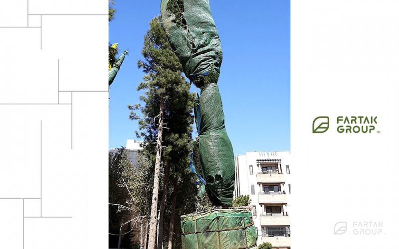 Baran 3 Tower Hotel Residental Complex